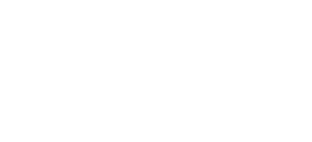 Leapmotor - NPL major partner